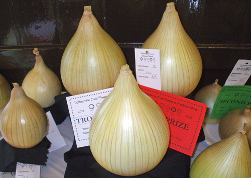 Symmetrical onions
