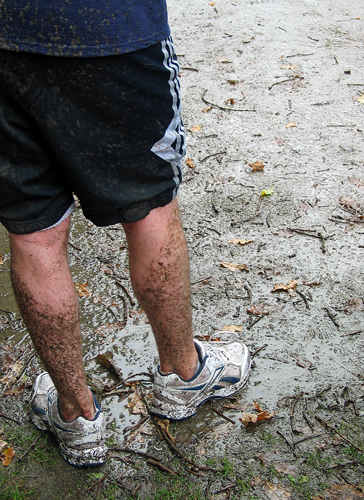 Muddy legs